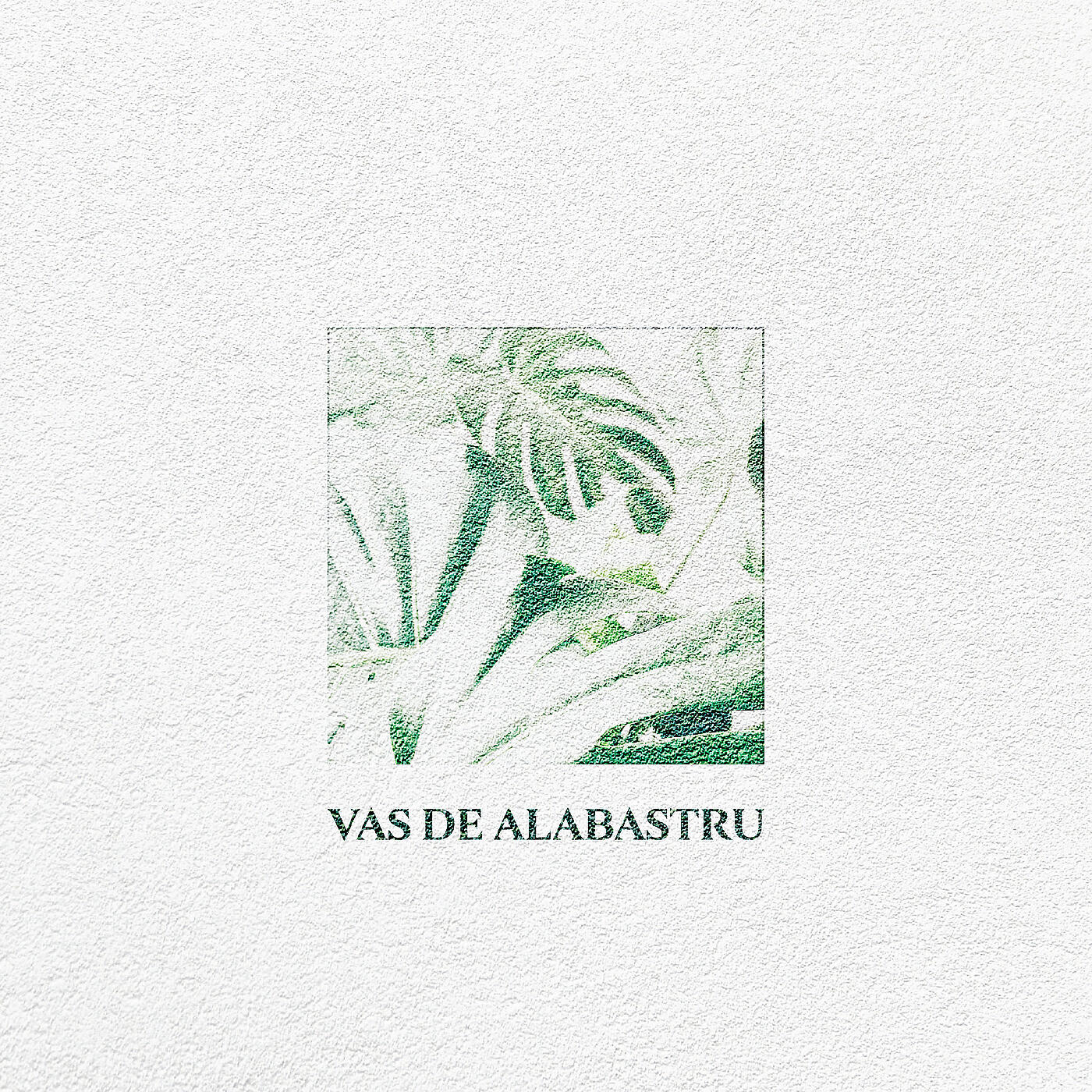 Релиз Vas De Alabastru