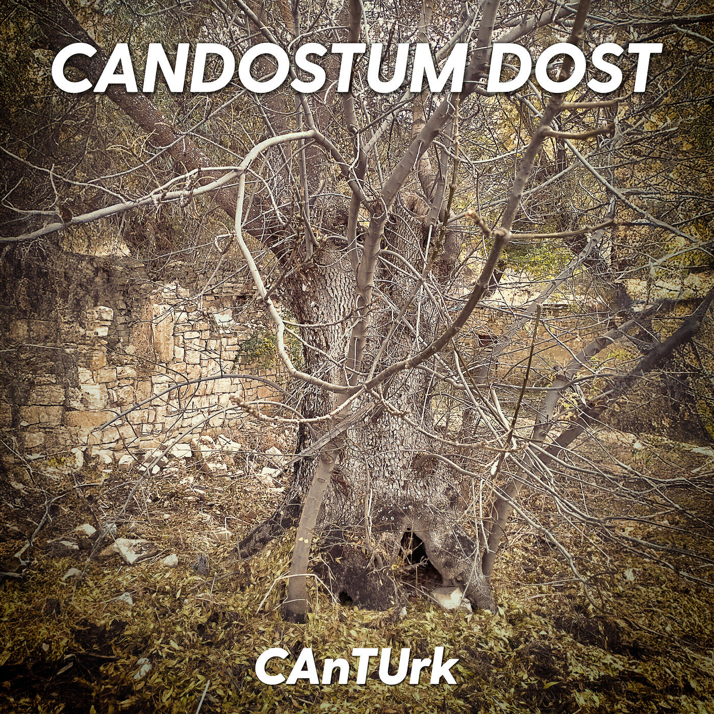 Релиз Candostum Dost