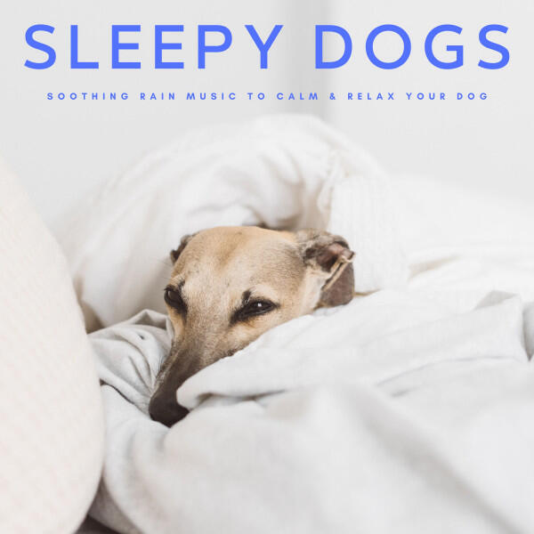 Релиз Sleepy Dogs: Soothing Rain Music To Calm & Relax Your Dog