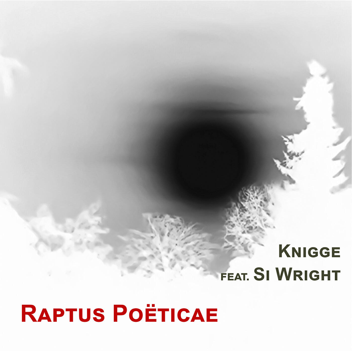 Релиз Raptus Poëticae