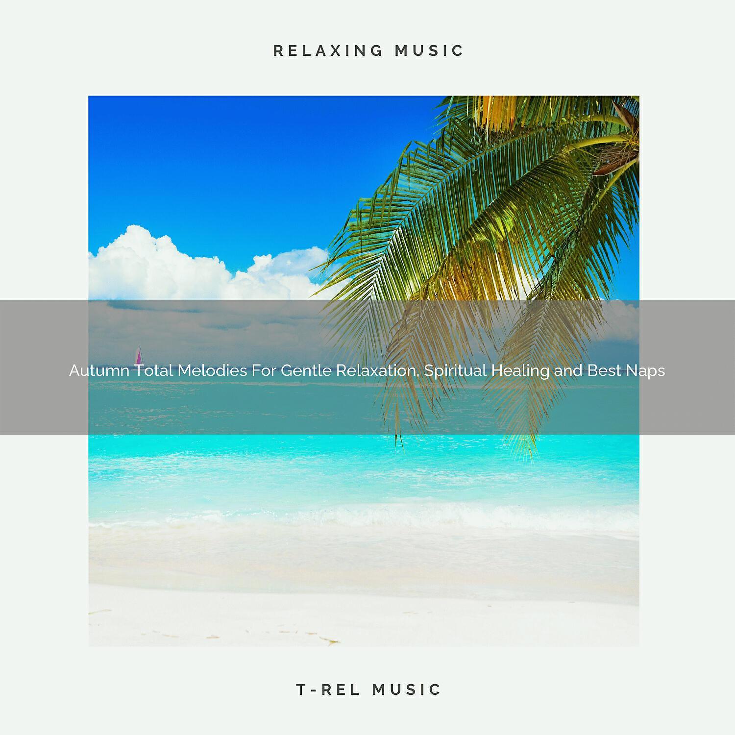 Relaxation Granular Noises