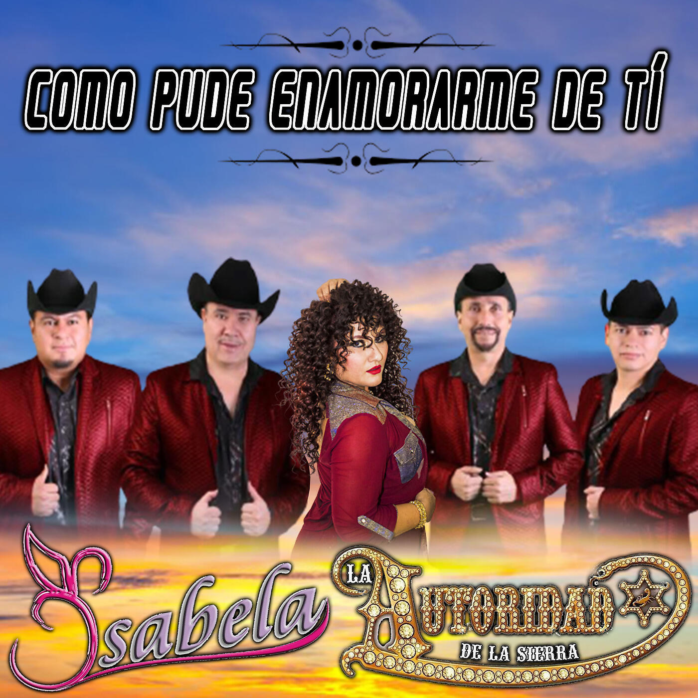 Релиз Como Pude Enamorarme De Tí