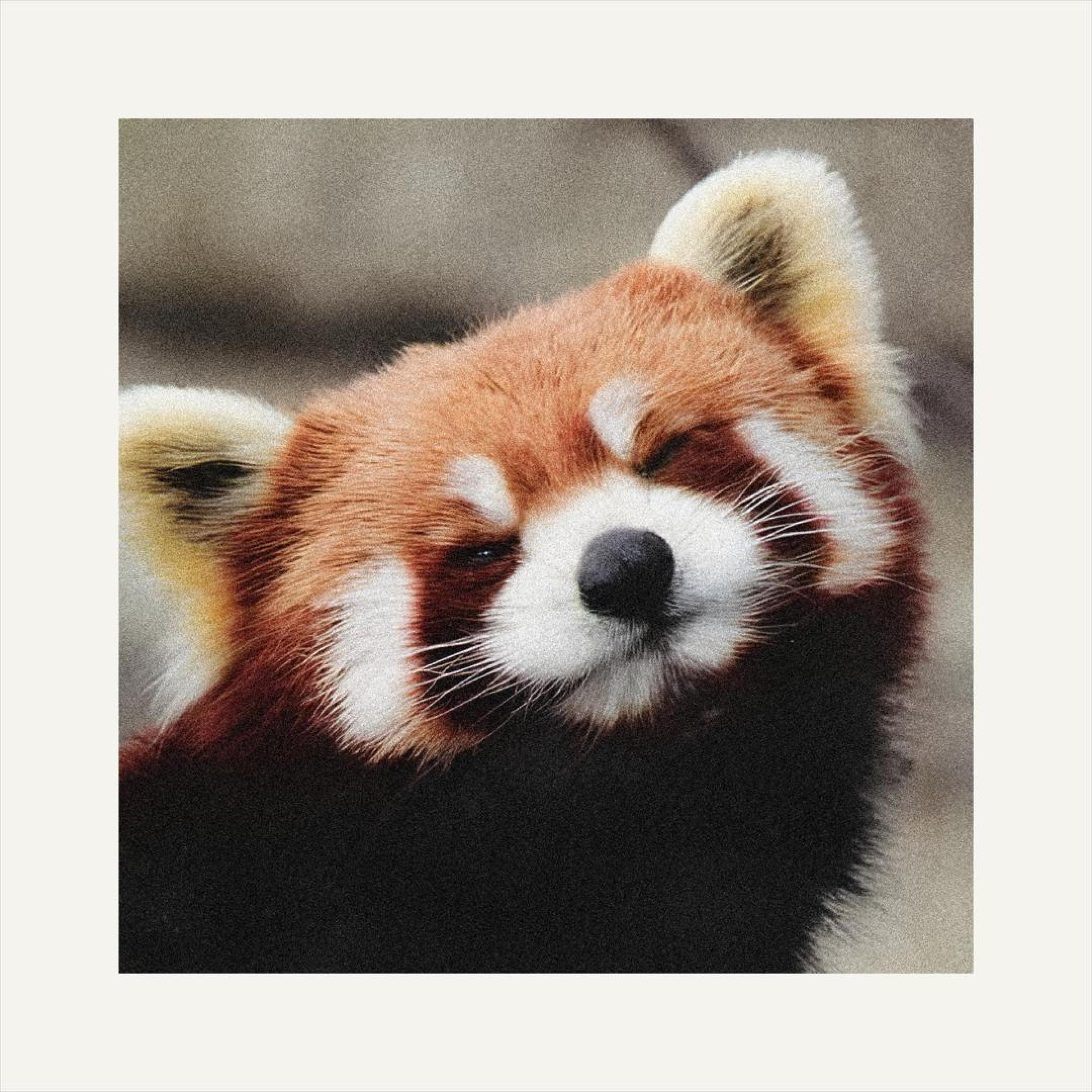 Релиз so far away