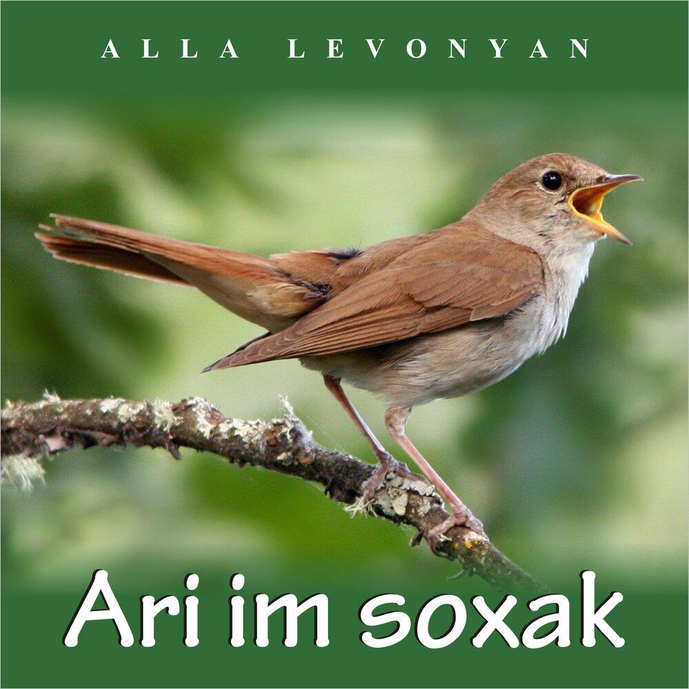 Релиз Ari Im Soxak