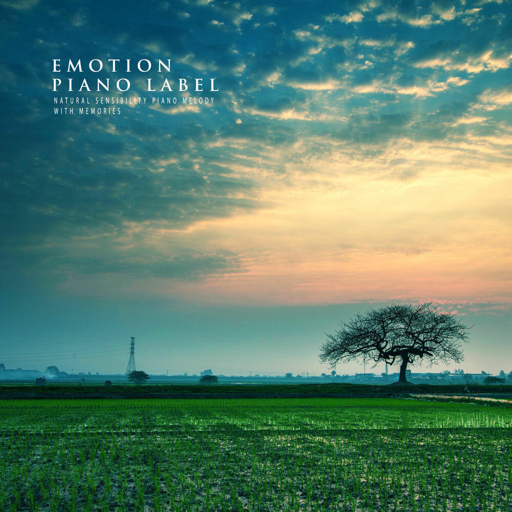 Релиз Natural Sensibility Piano Melody With Memories