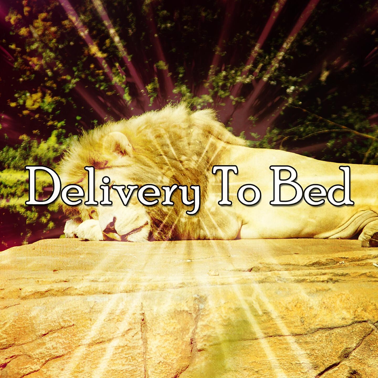 Релиз Delivery To Bed