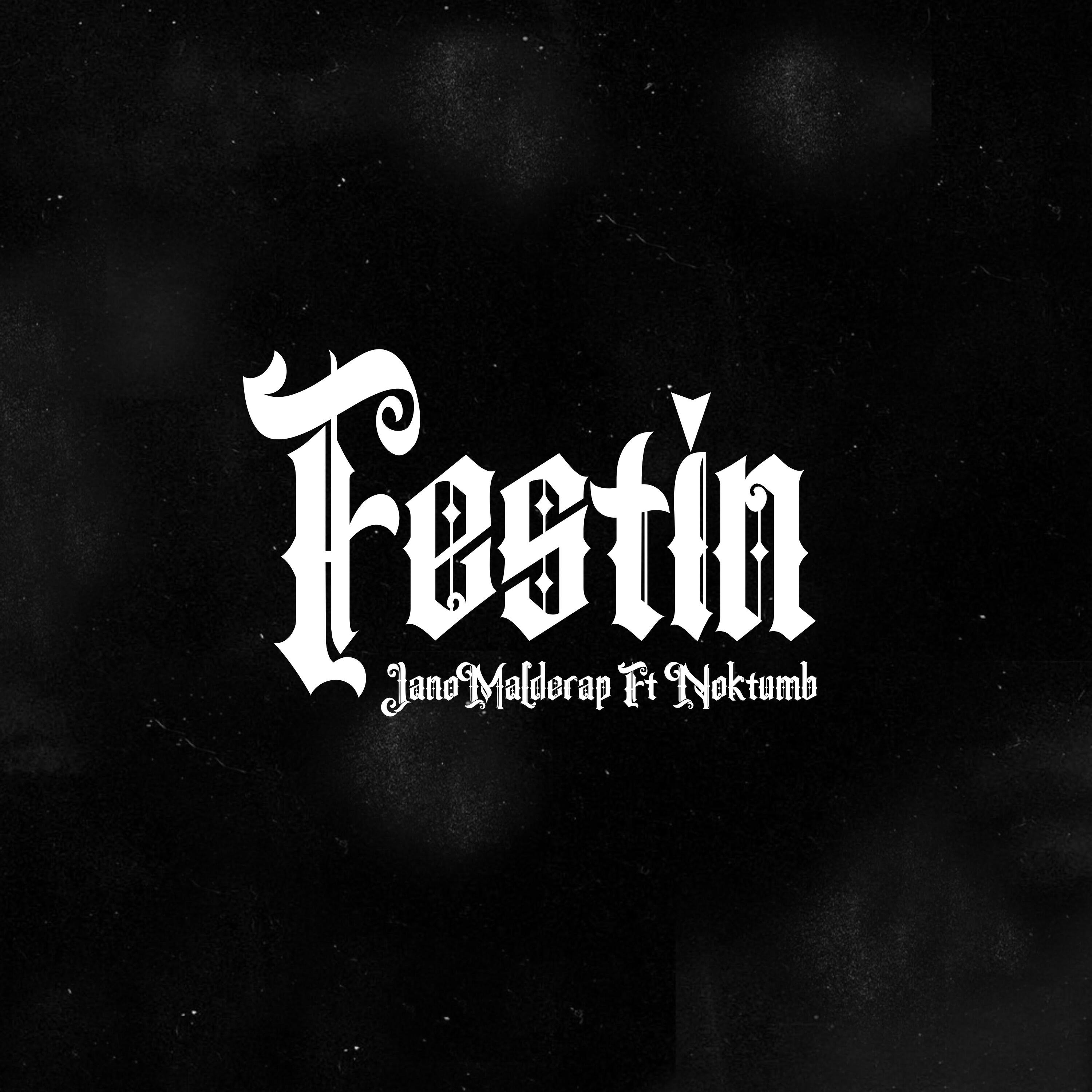 Релиз Festin