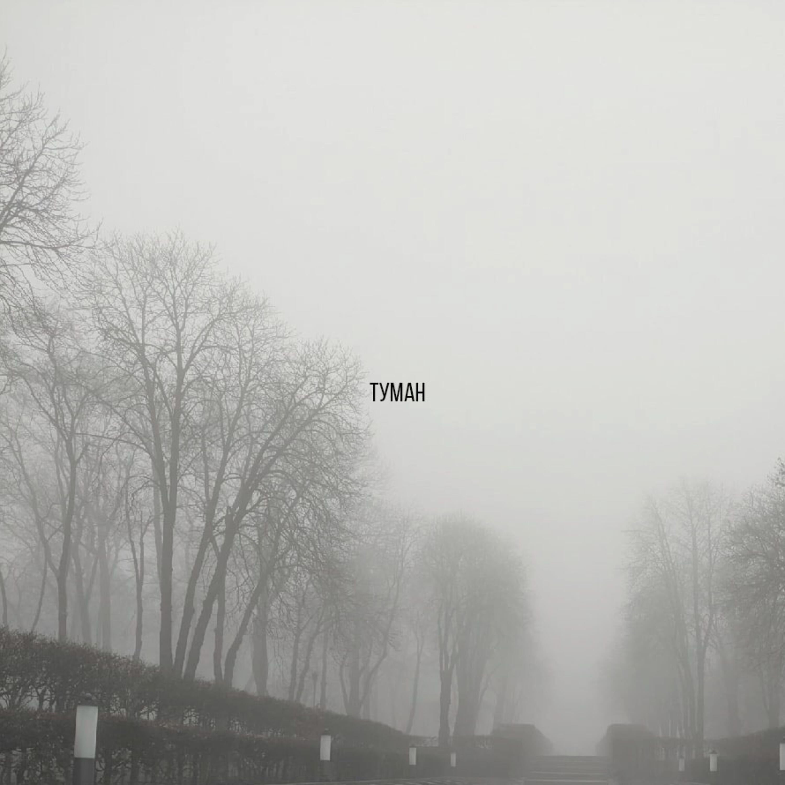 Релиз Туман
