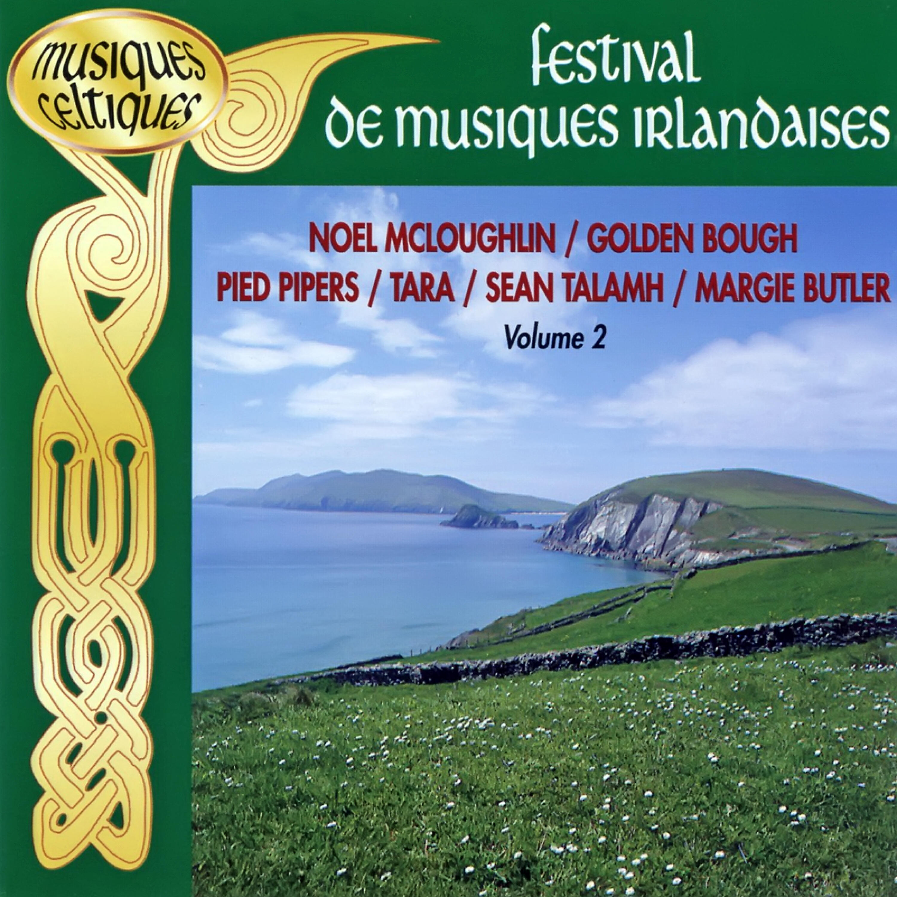 Релиз Festival De Musiques Irlandaises Vol. 2 (Musiques Celtiques)