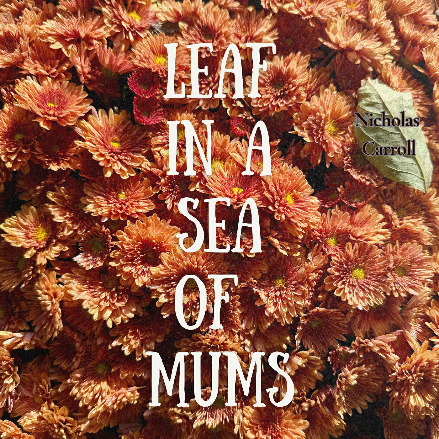 Релиз Leaf in a Sea of Mums