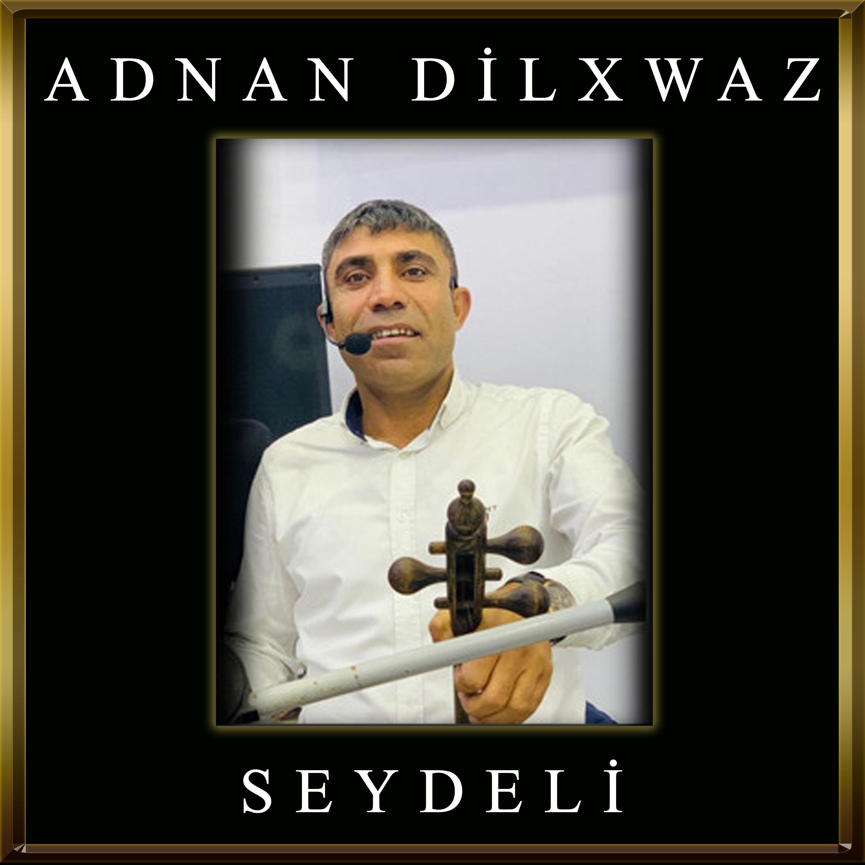 Релиз Seydeli