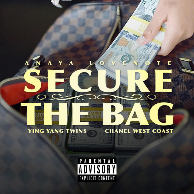 Релиз Secure the Bag