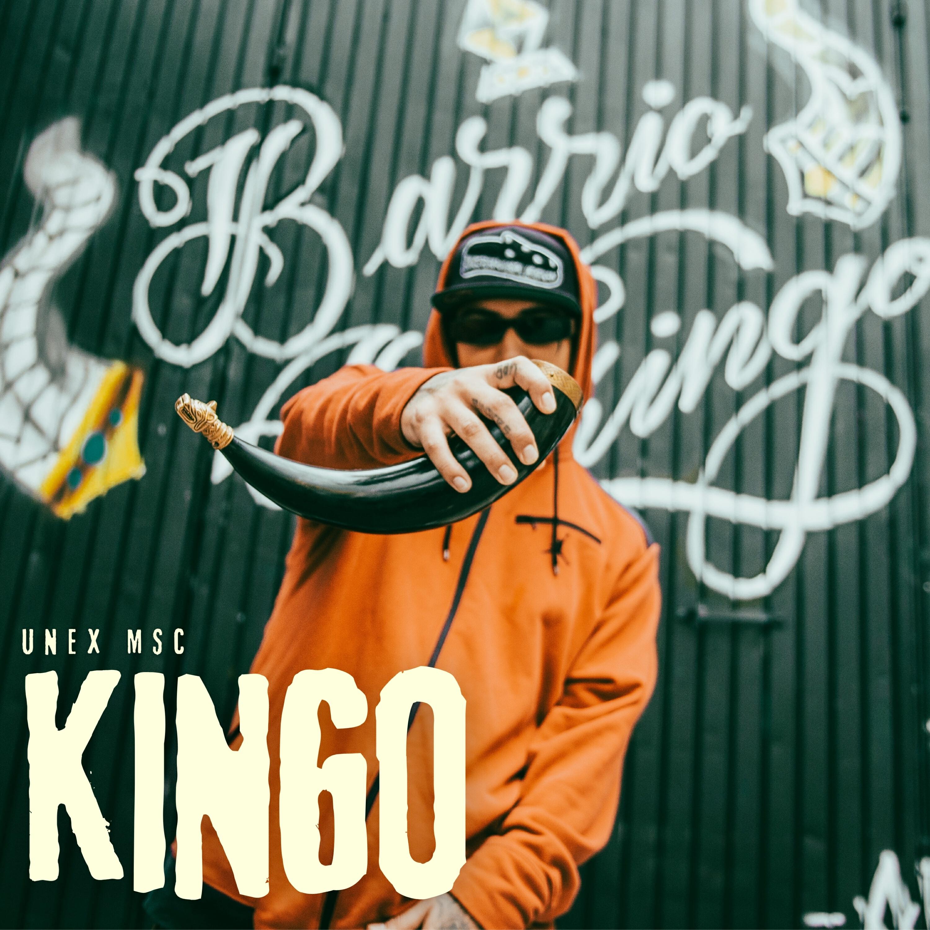 Релиз Kingo