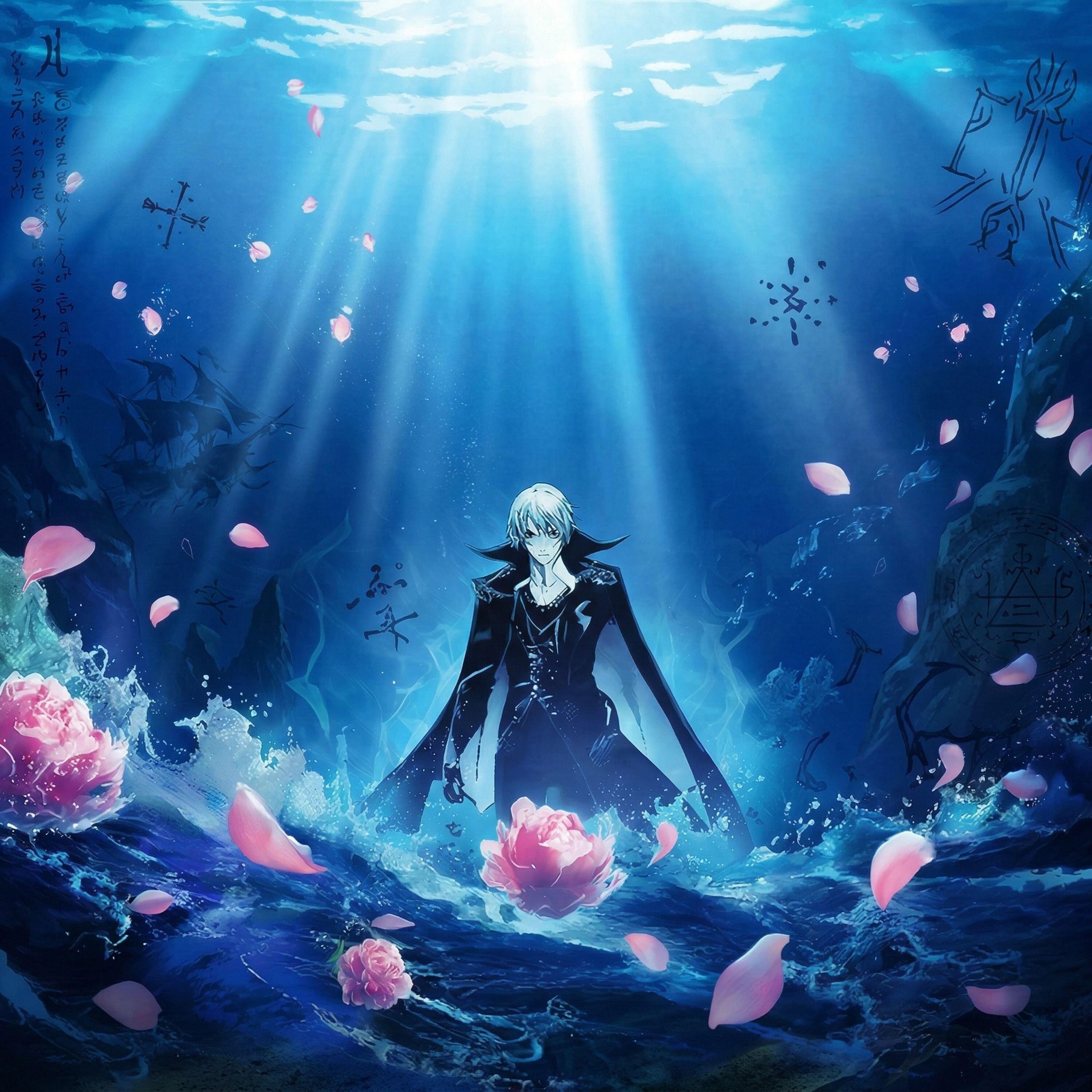 Релиз Where Shadows Bloom