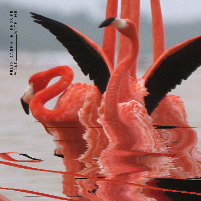 Релиз Walk With Me