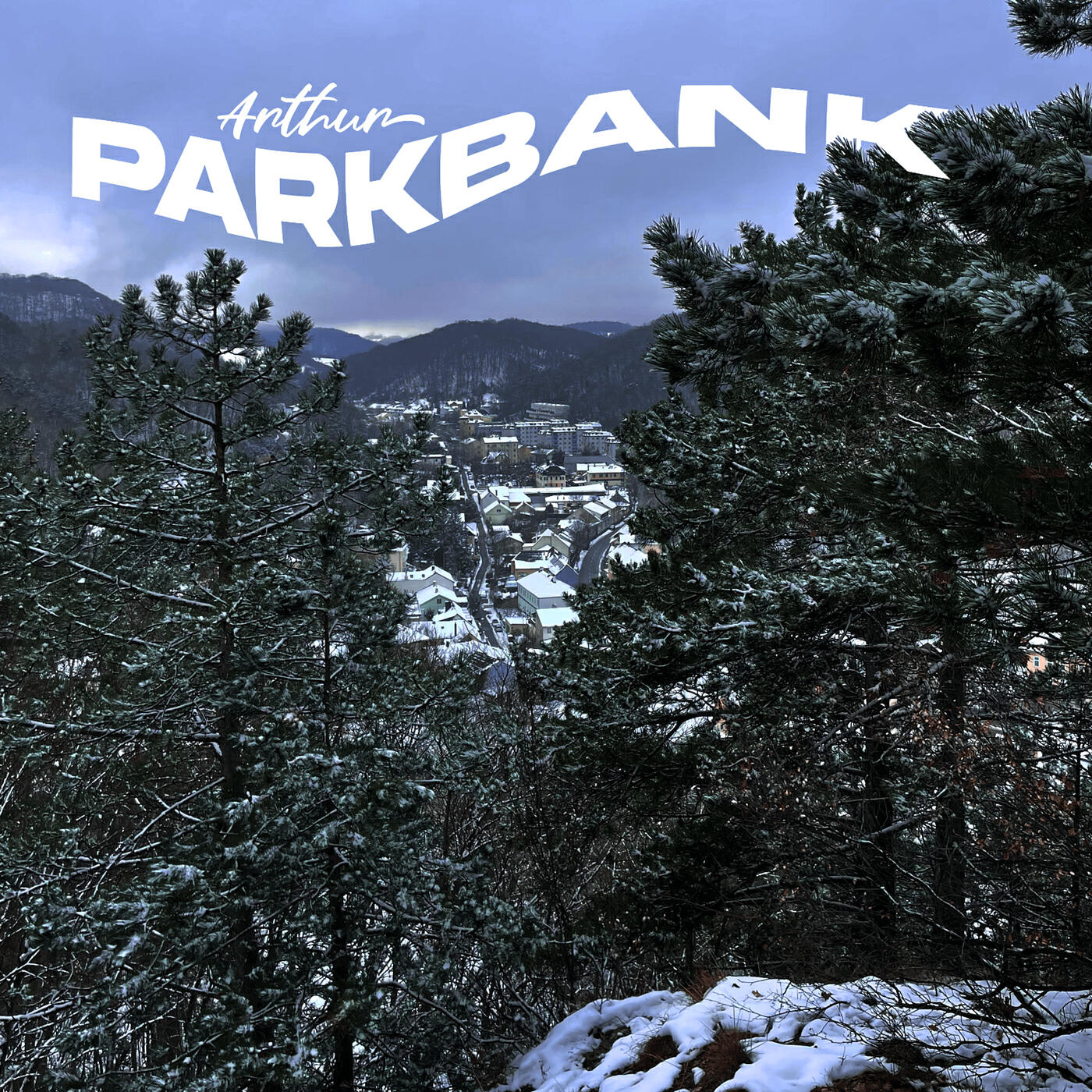Релиз Parkbank