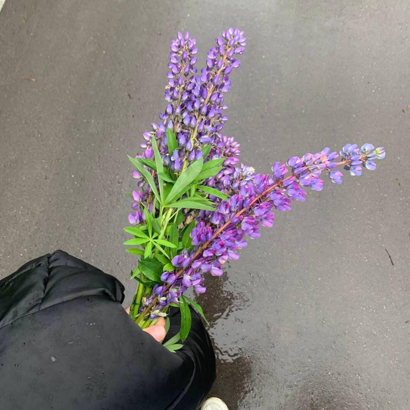 Релиз Меня мажет