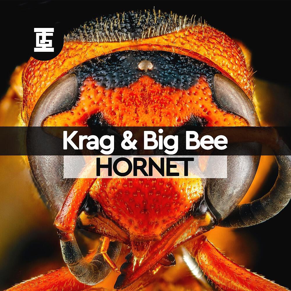Релиз Hornet