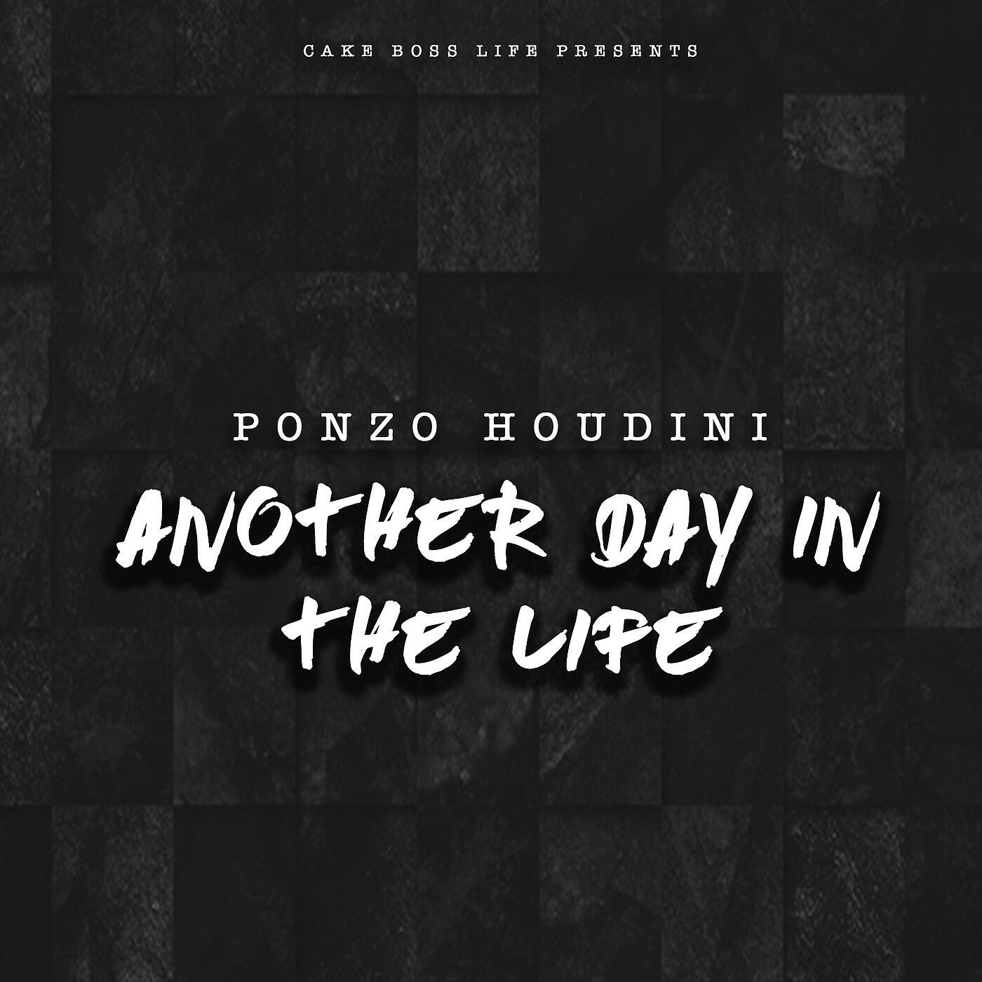 Релиз Another Day in the Life