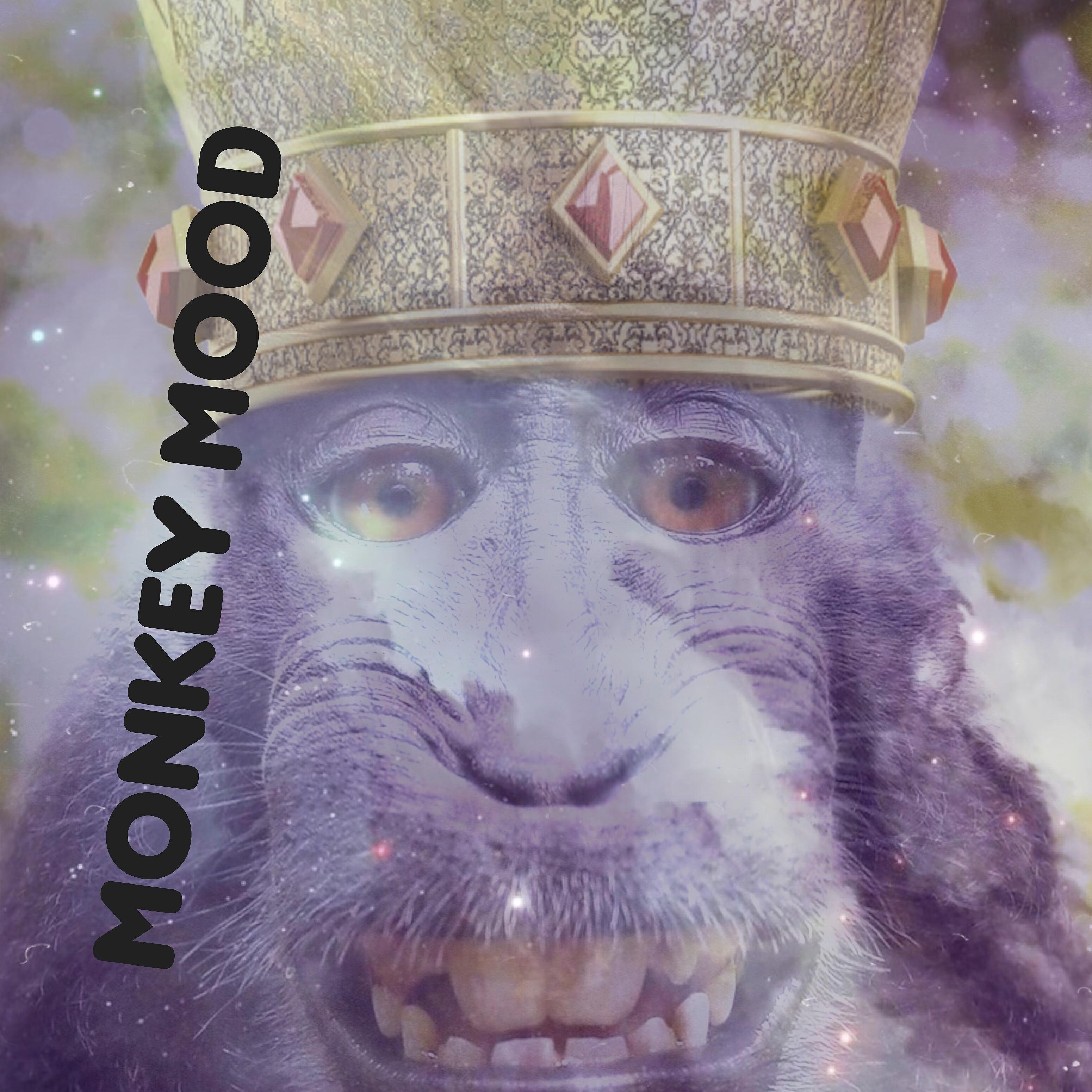 Постер альбома Monkey Mood