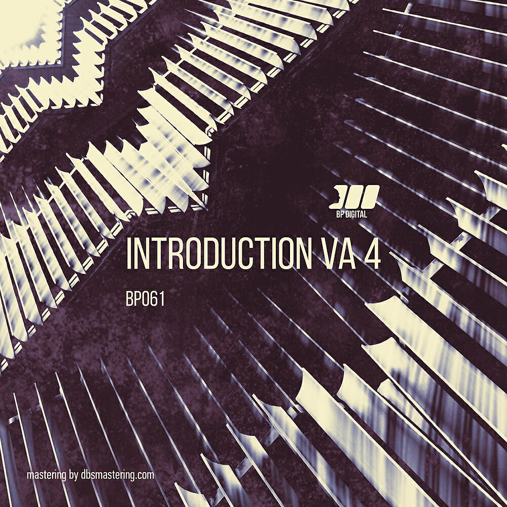 Постер альбома Introduction VA#4