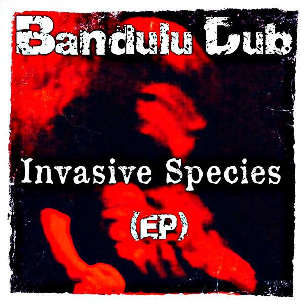 Скачать песню Bandulu Dub, Leon Uriah, ReZiNdRiP - Camouflage (feat. Leon Uriah, ReZiNdRiP) бесплатно в MP3 для Android и iOS