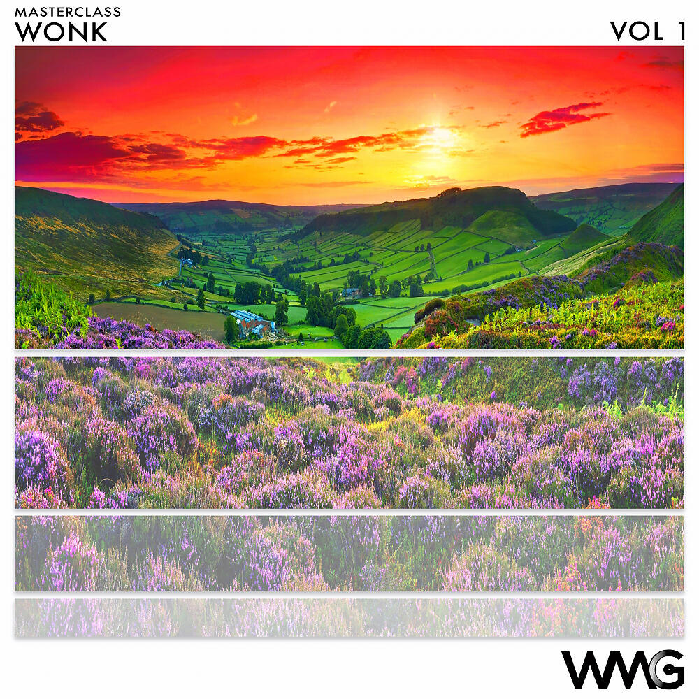Постер альбома MasterClass: WoNK, Vol. 1