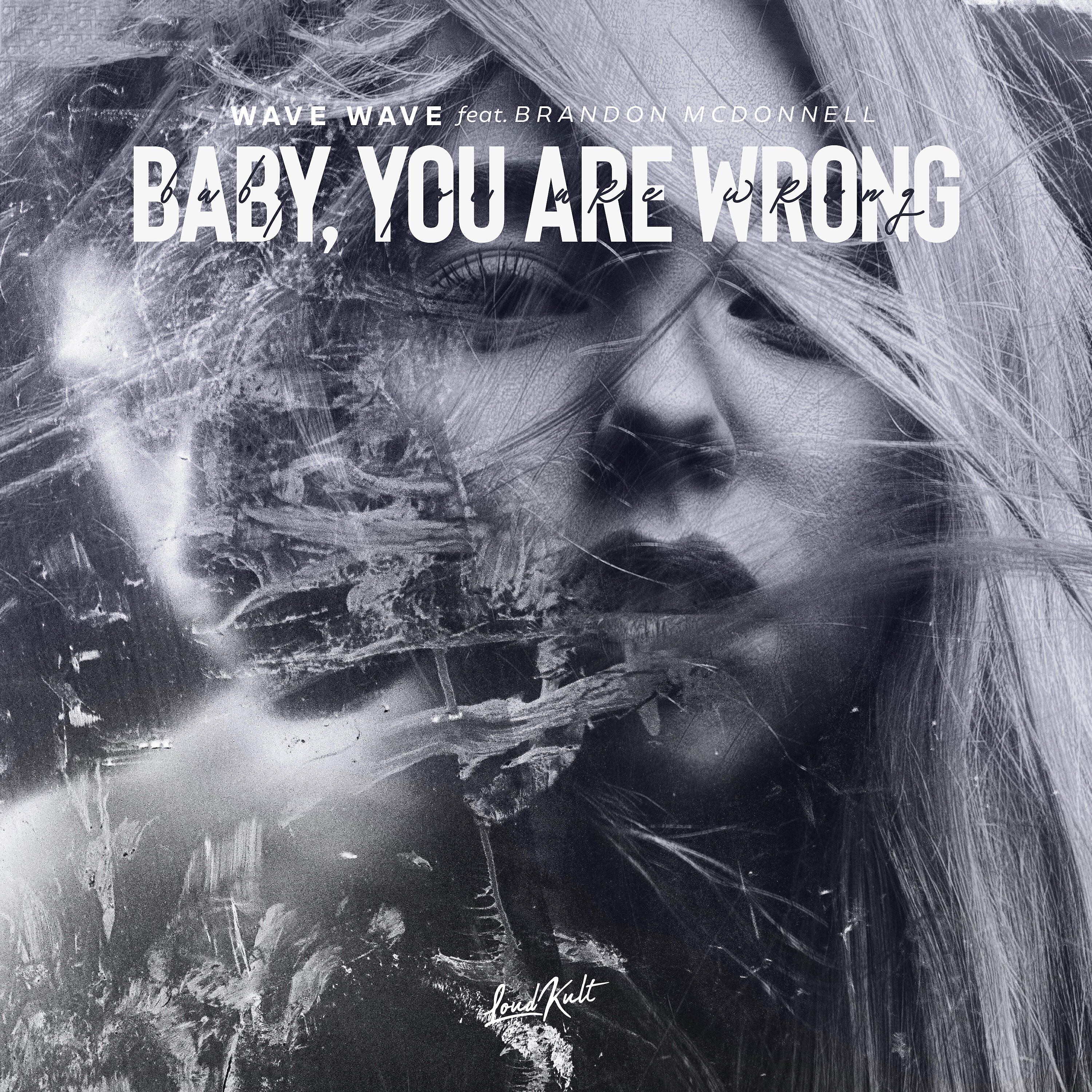Релиз Baby, You Are Wrong (feat. Brandon Mcdonnell)