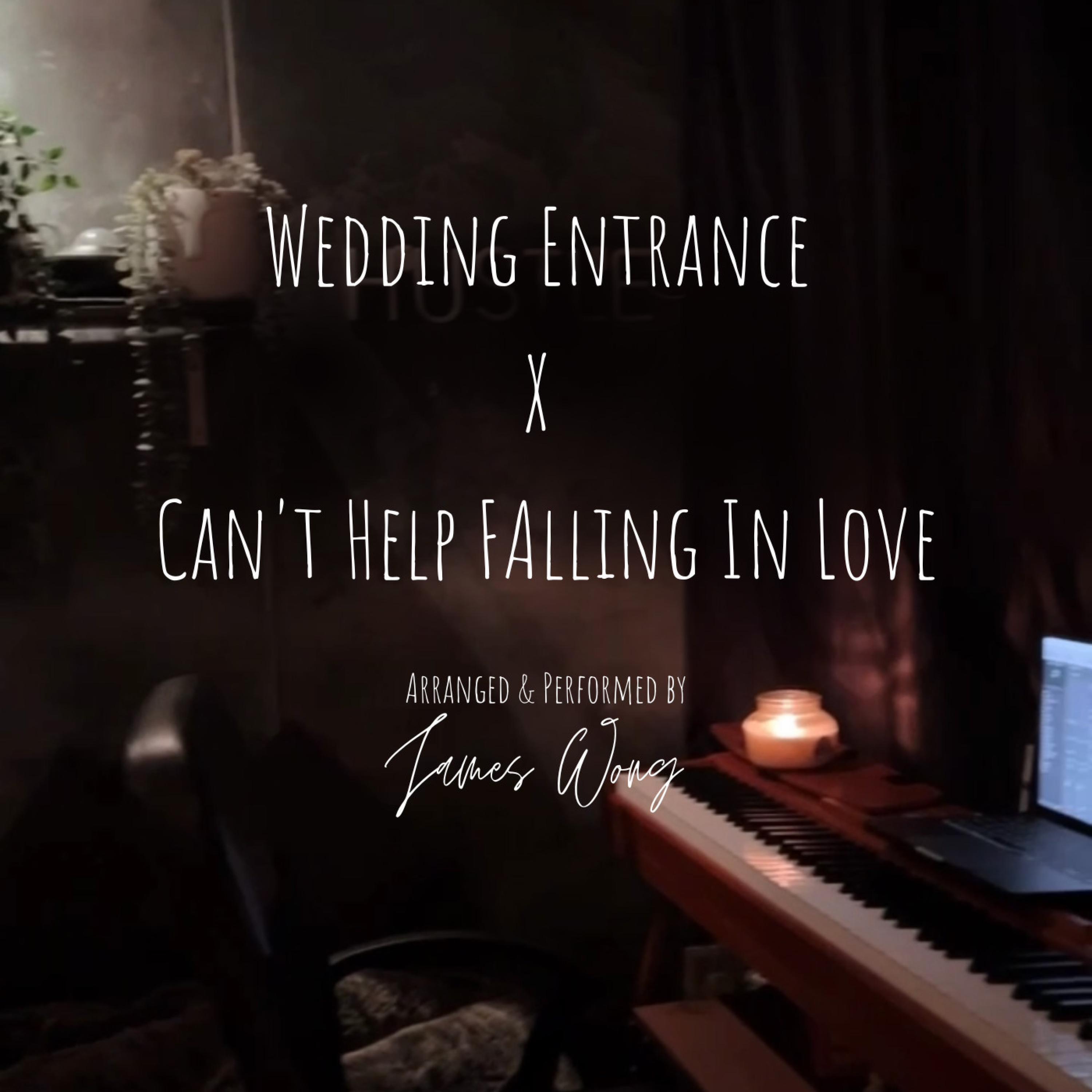 Релиз Wedding Entrance X Can't Help Falling In Love