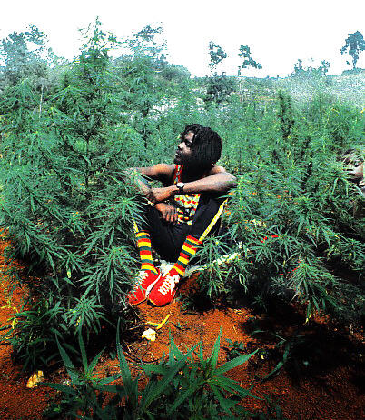 PeterTosh