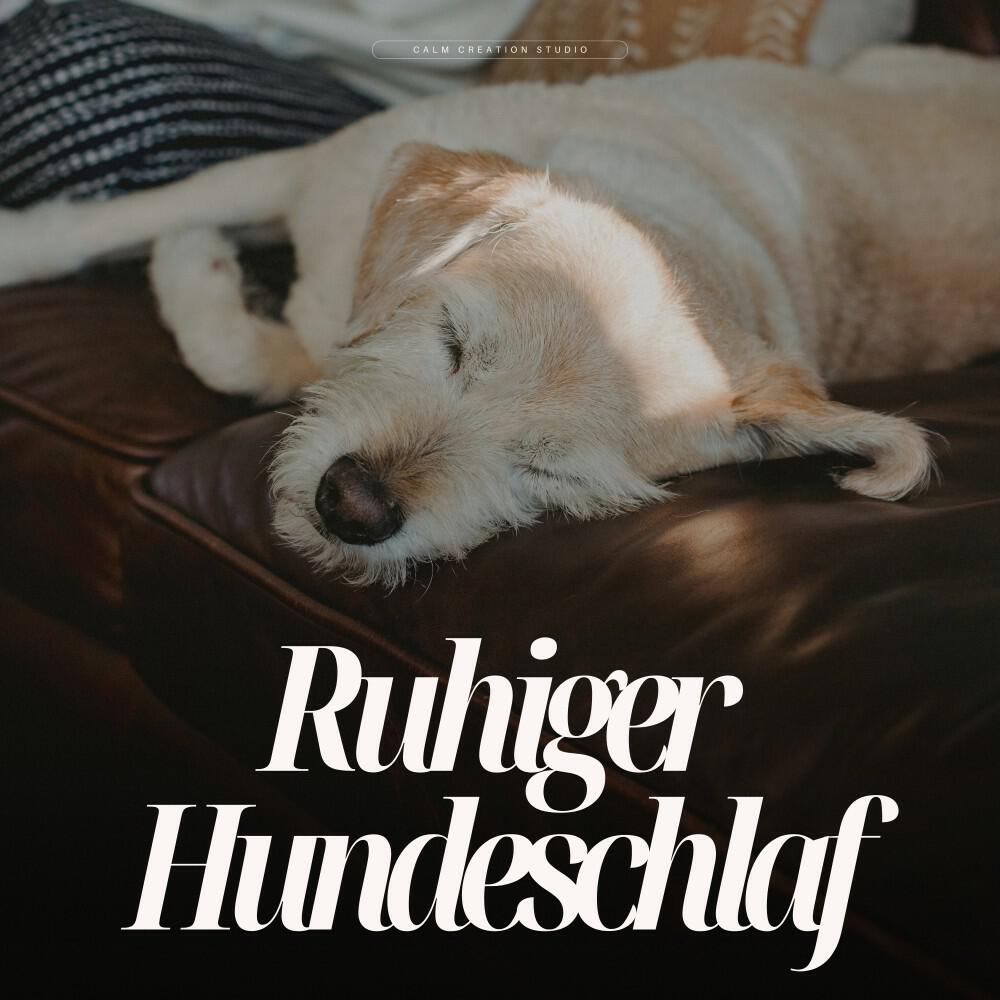 Релиз Ruhiger Hundeschlaf
