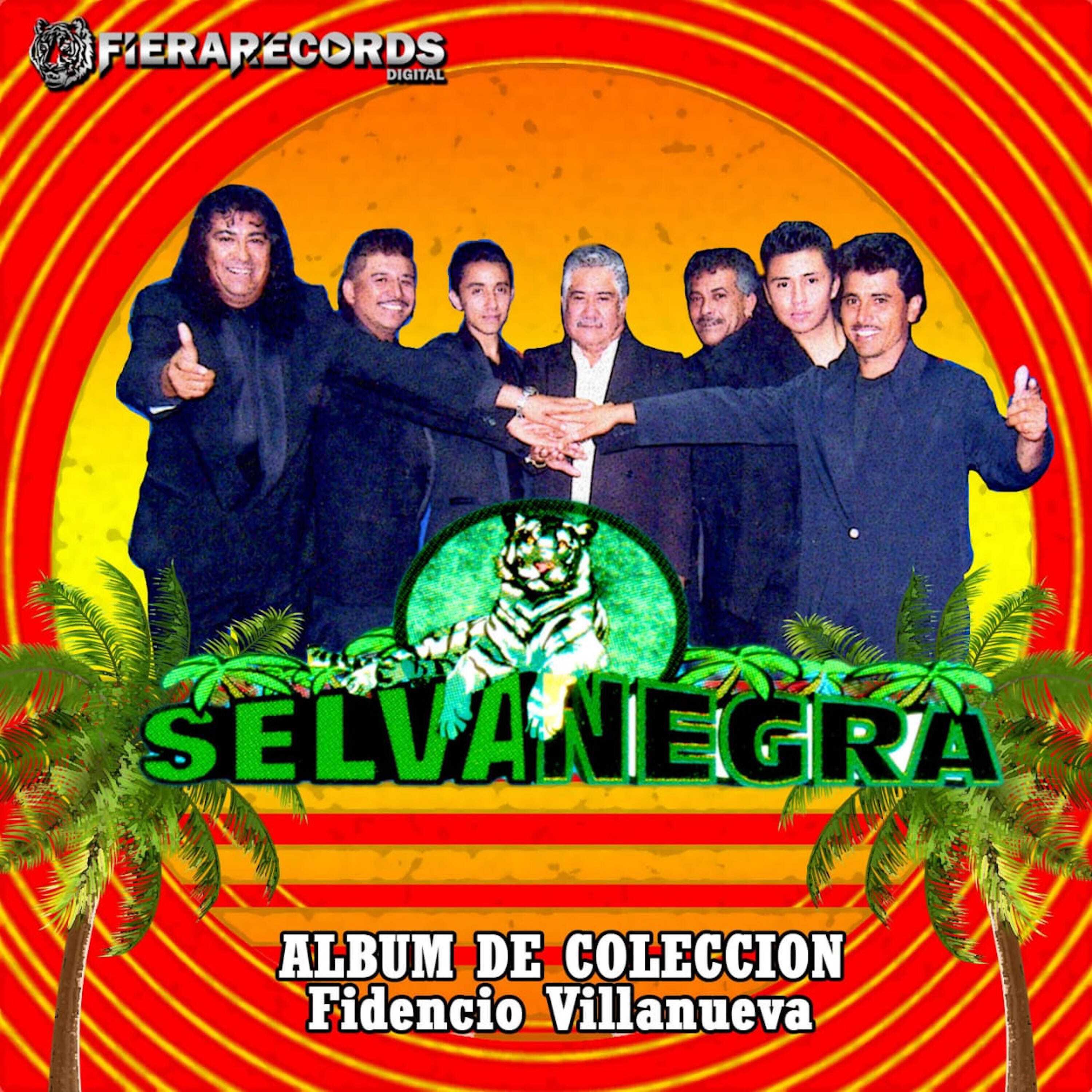 Релиз Album de Coleccion, Fidencio Villanueva