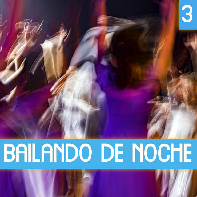 Релиз Bailando De Noche Vol. 3