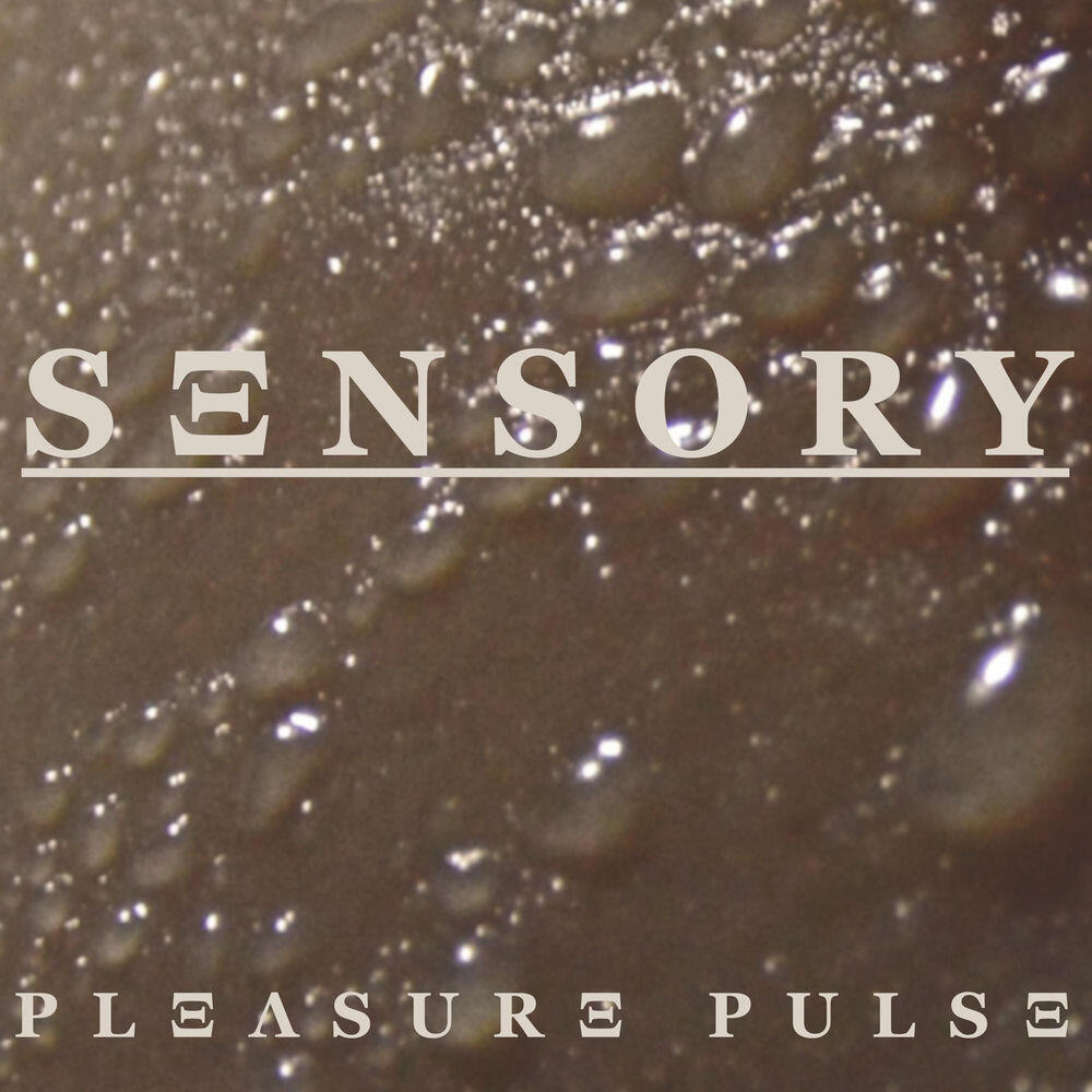 Релиз PLΞΛSURΞ PULSΞ