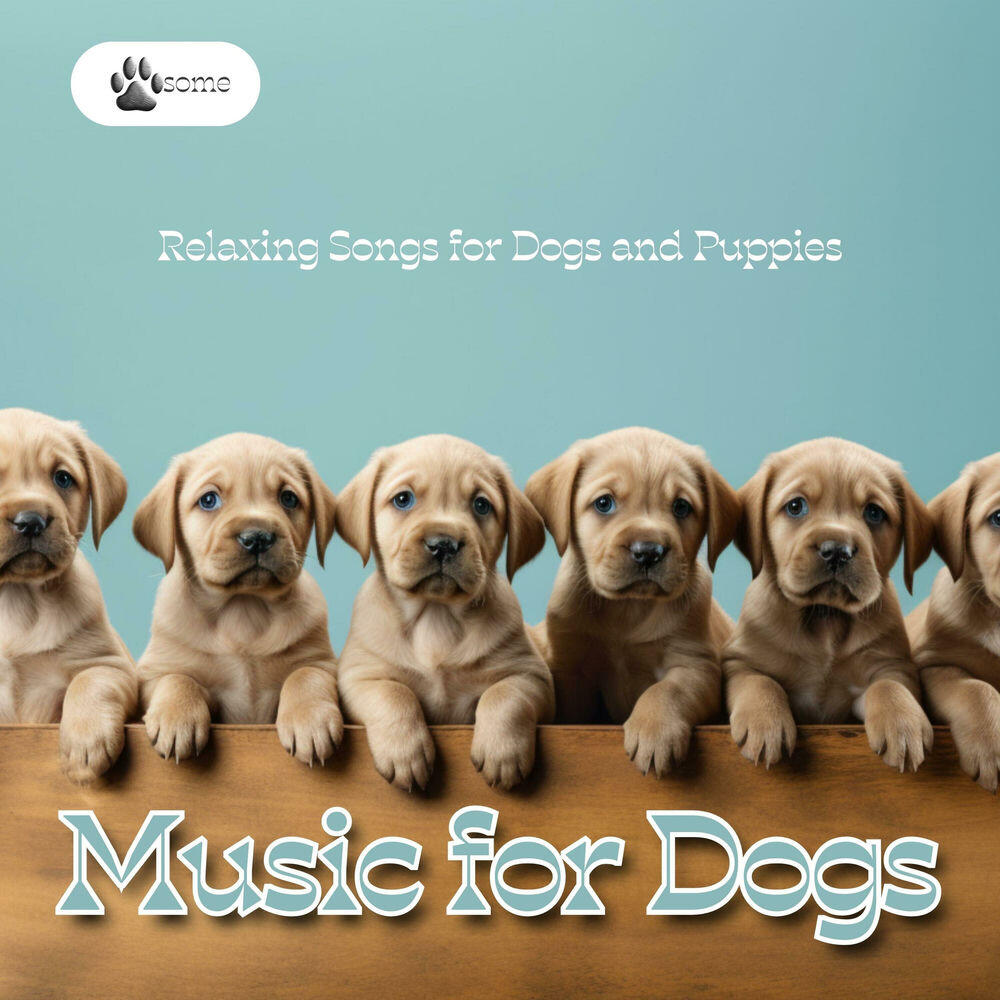 Релиз Music for Dogs - Relaxing Songs for Dogs and Puppies