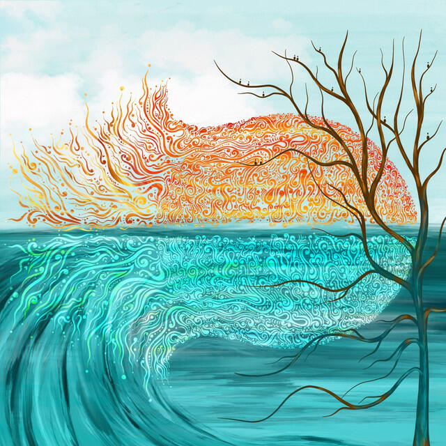 Релиз Narodnaya