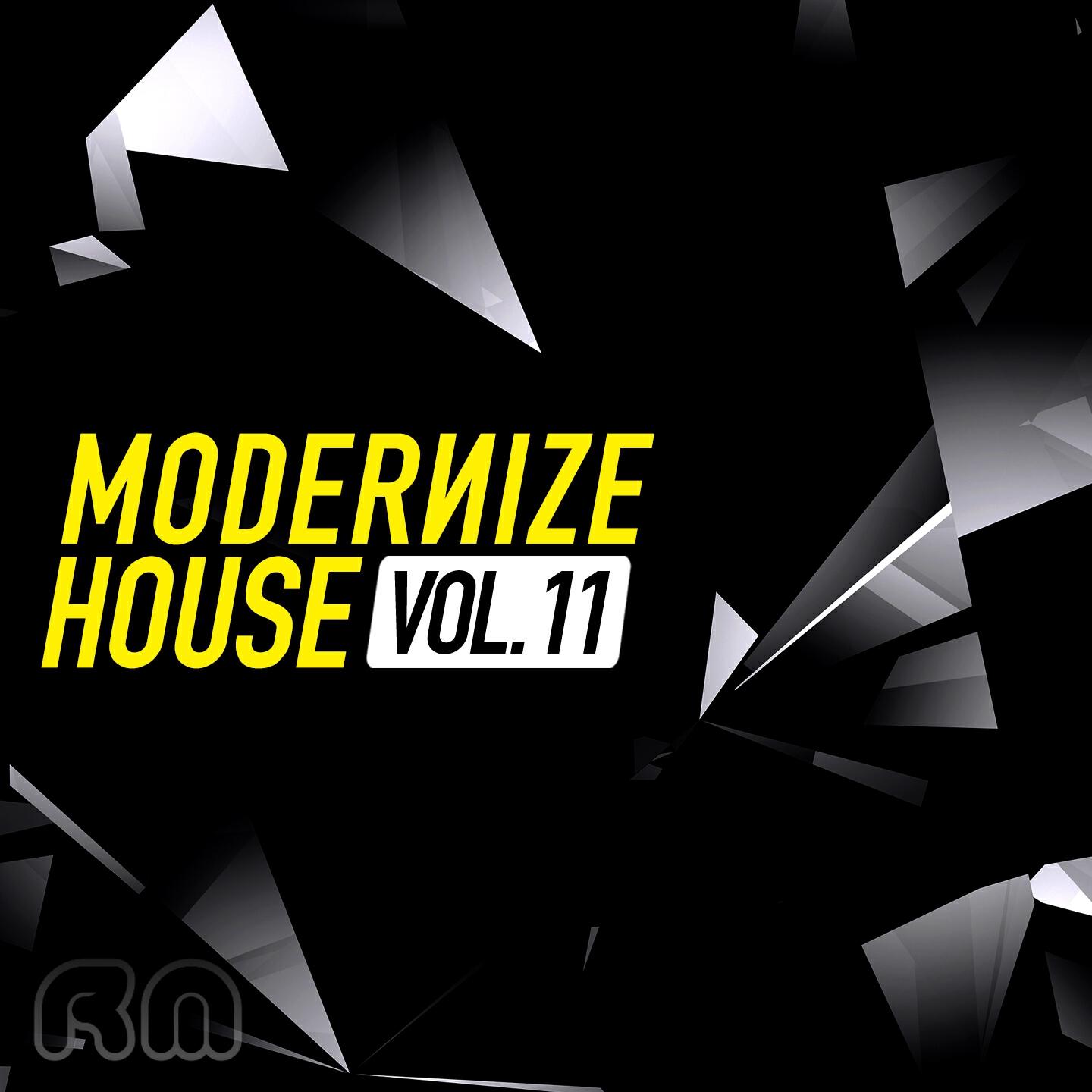 Релиз Modernize House, Vol. 11