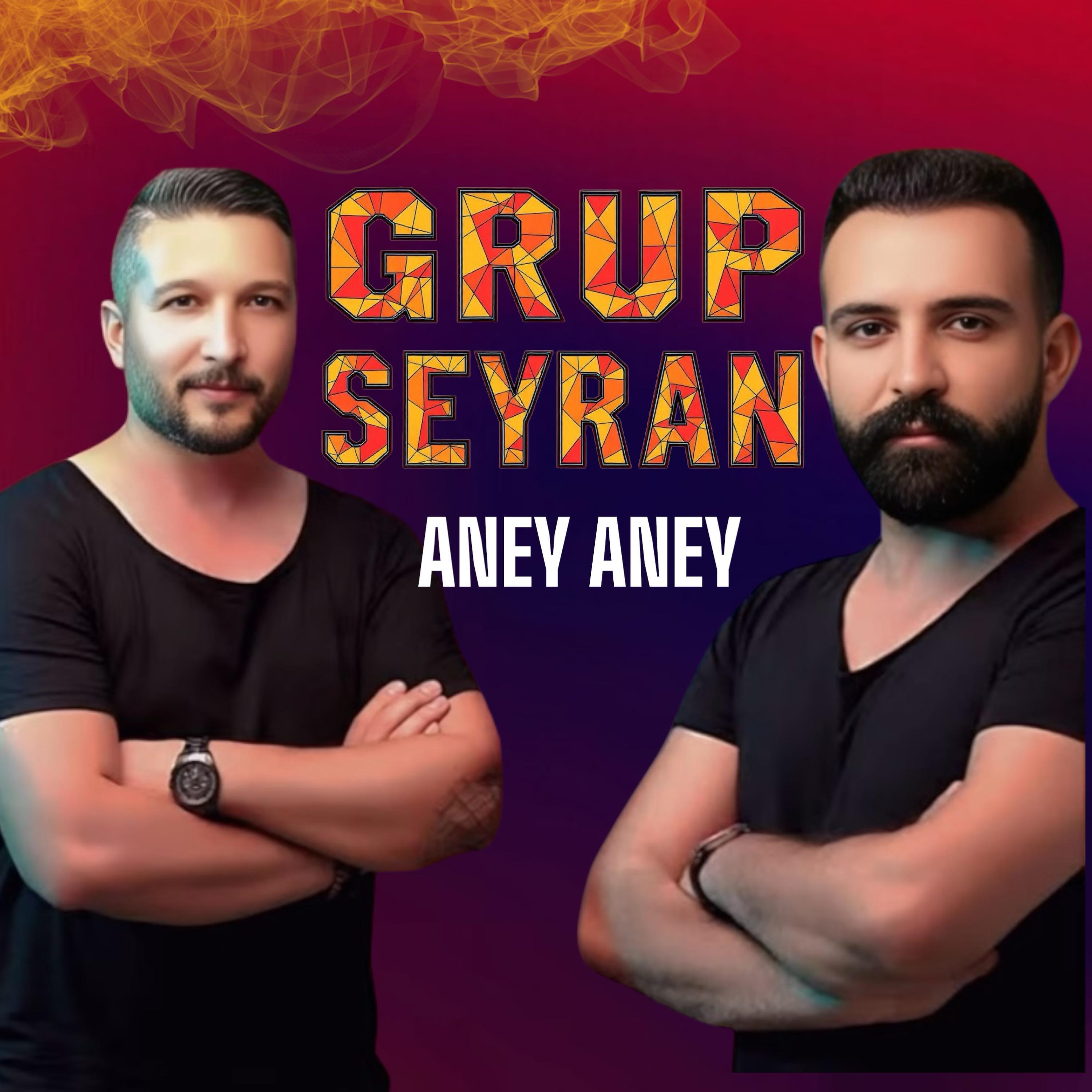 Постер альбома Aney Aney