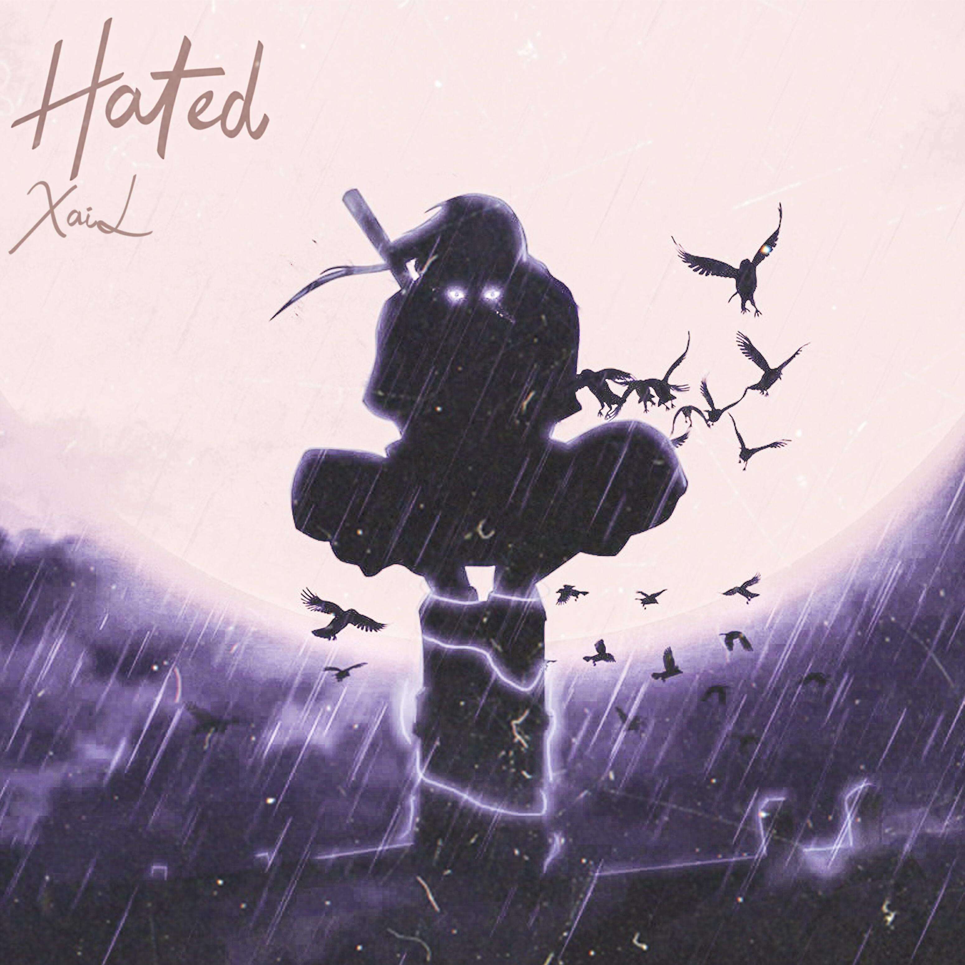 Постер альбома Hated