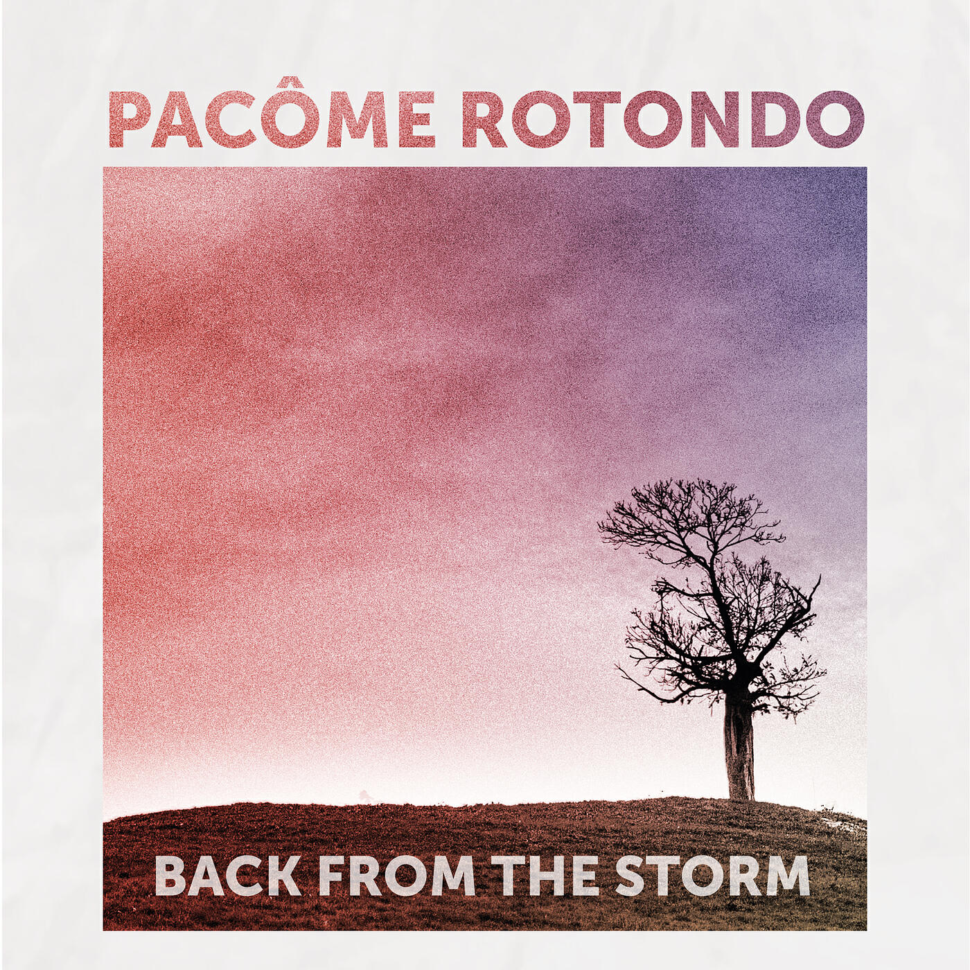 Релиз Back from the Storm