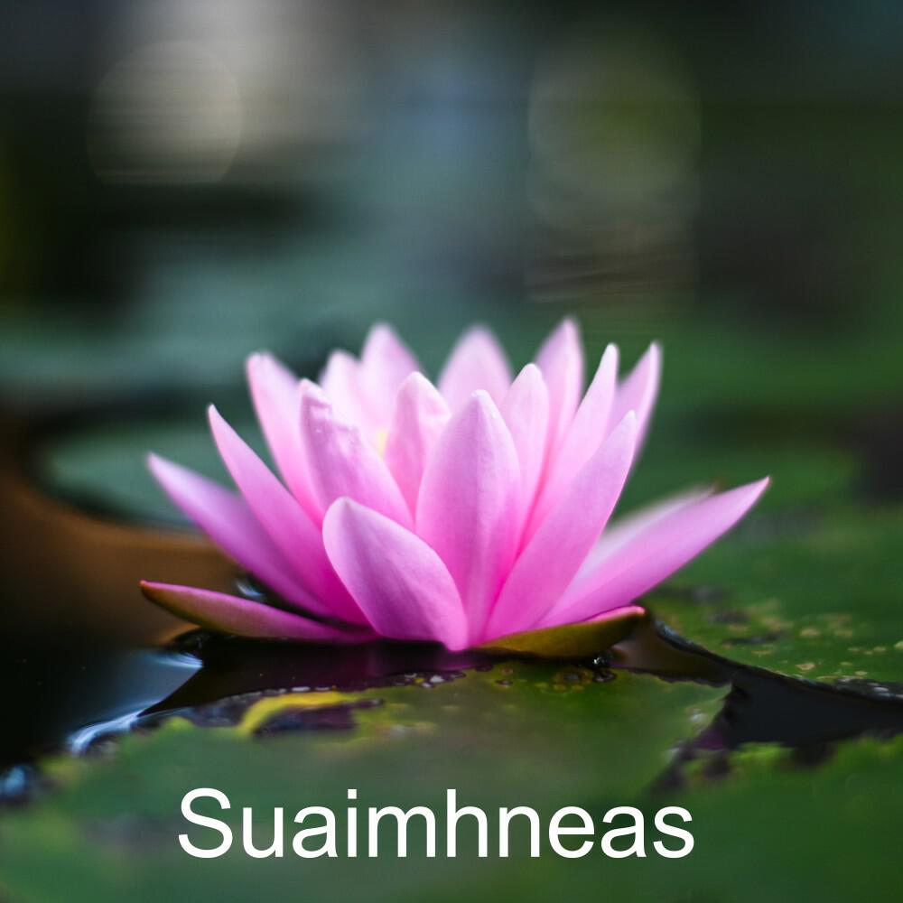 Zen Rituals