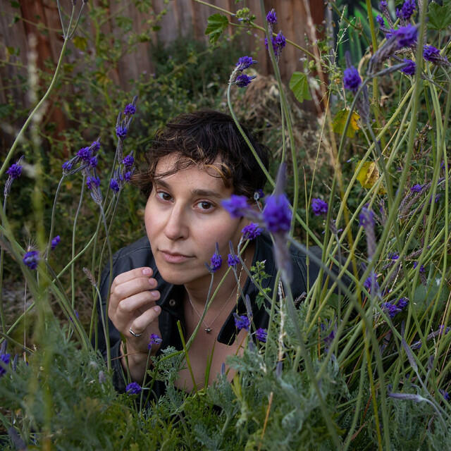 Релиз Where the Lavender Grows