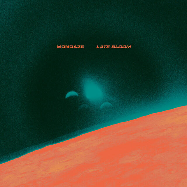 Релиз Late Bloom