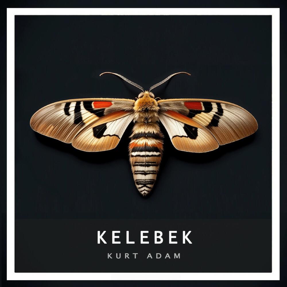 Релиз Kelebek