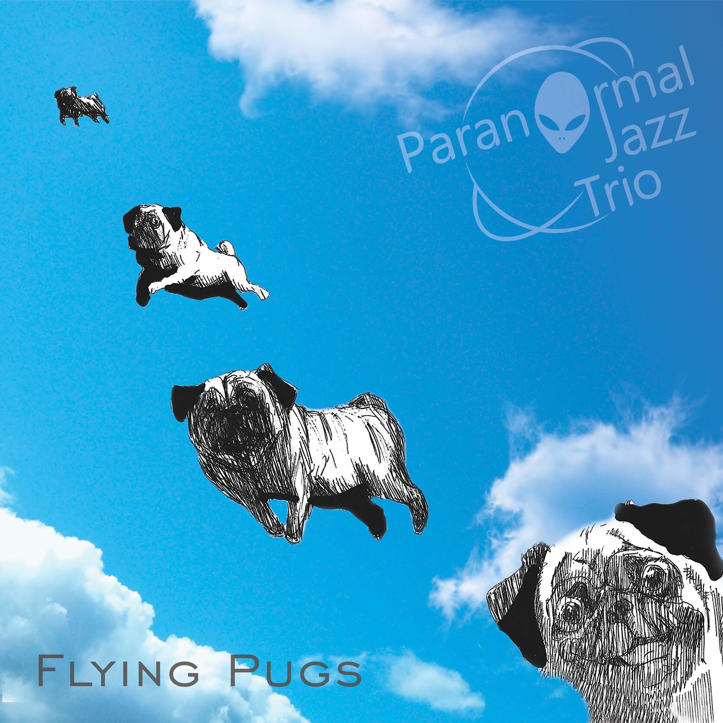 Релиз Flying Pugs