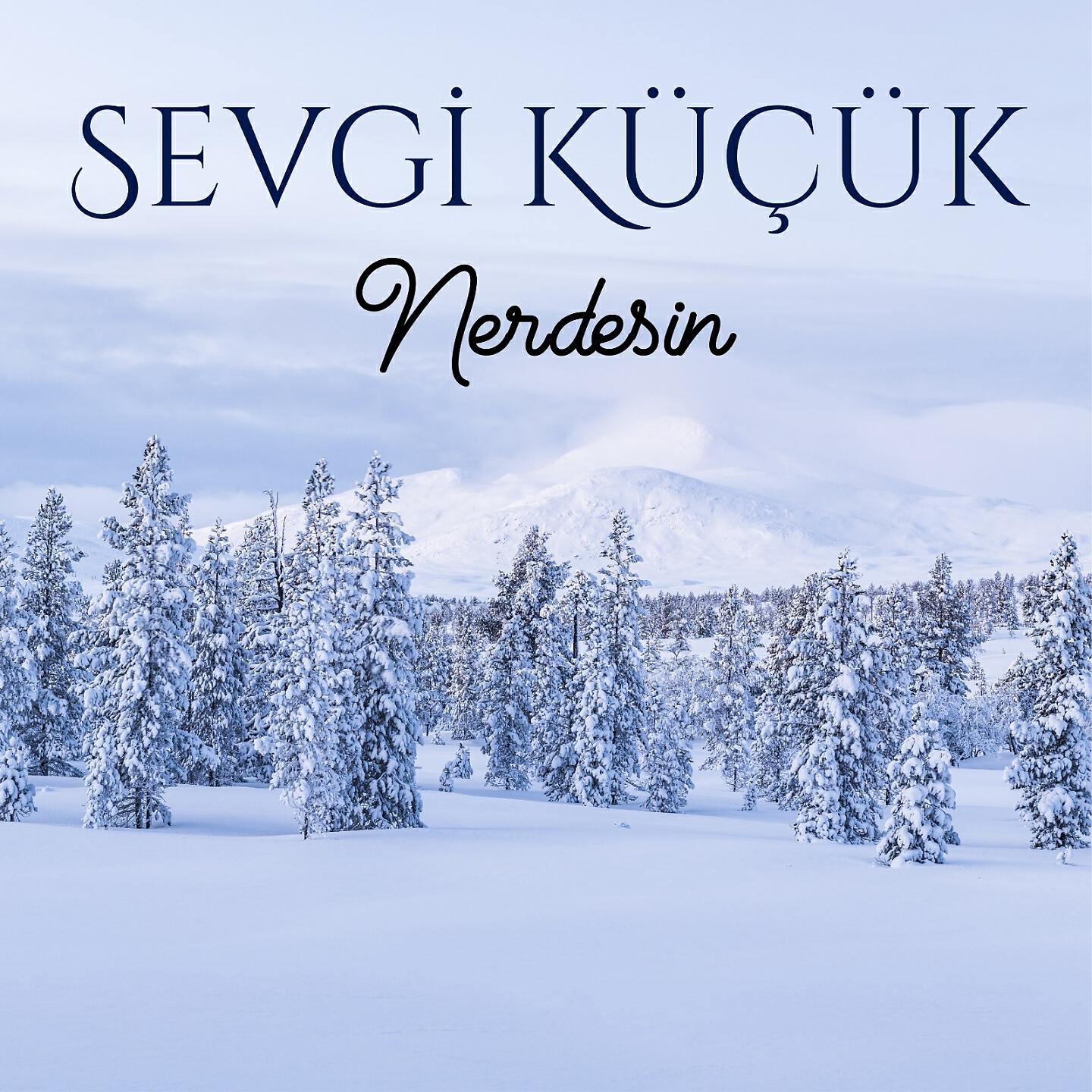 Sevgi Küçük