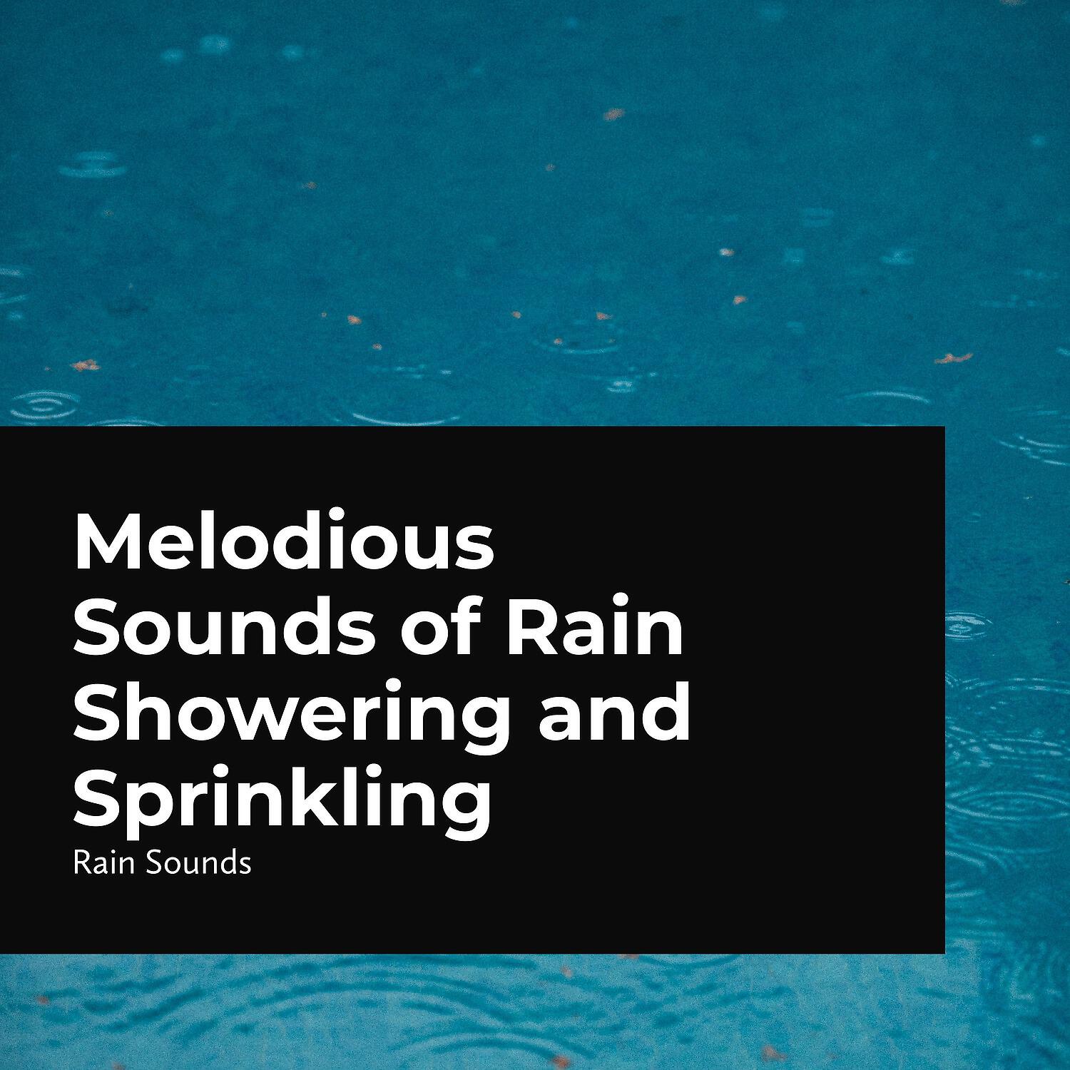 Постер альбома Melodious Sounds of Rain Showering and Sprinkling