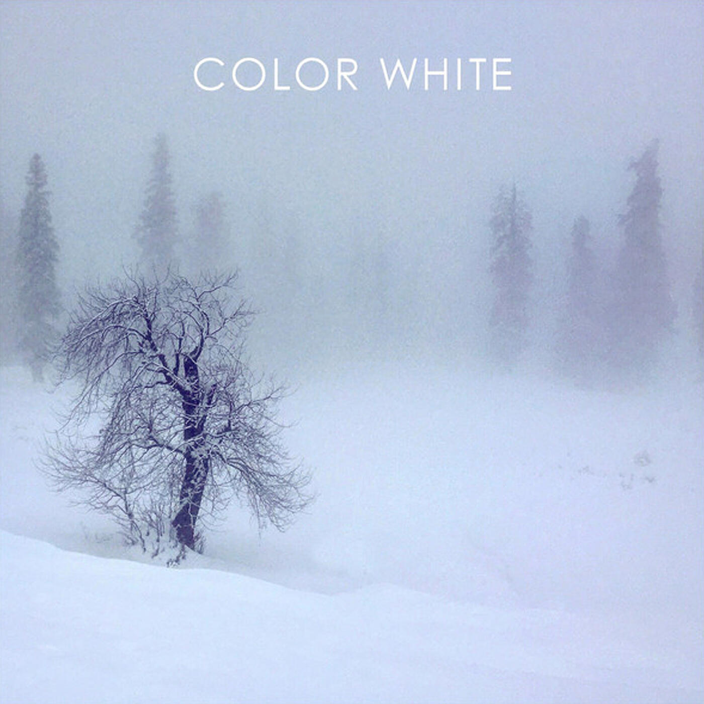 Релиз Color White
