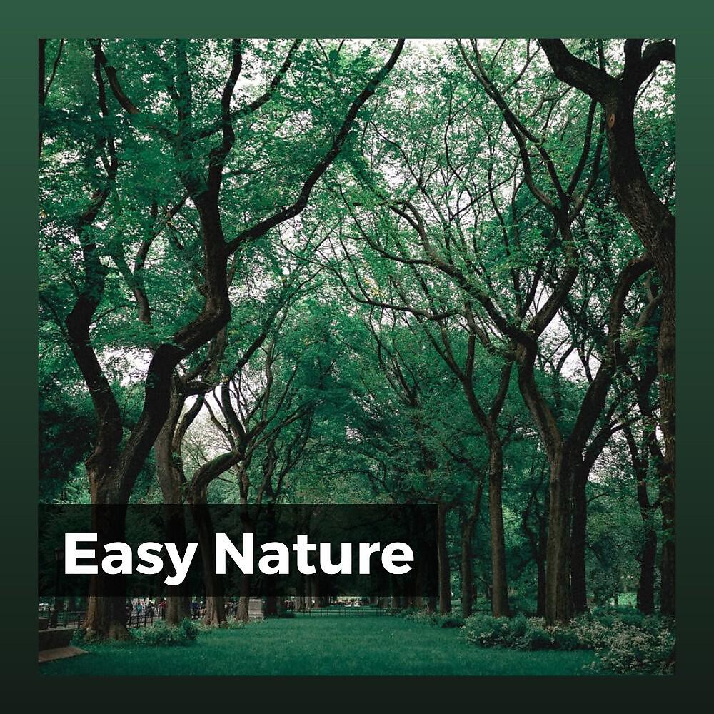 Постер альбома Easy Nature