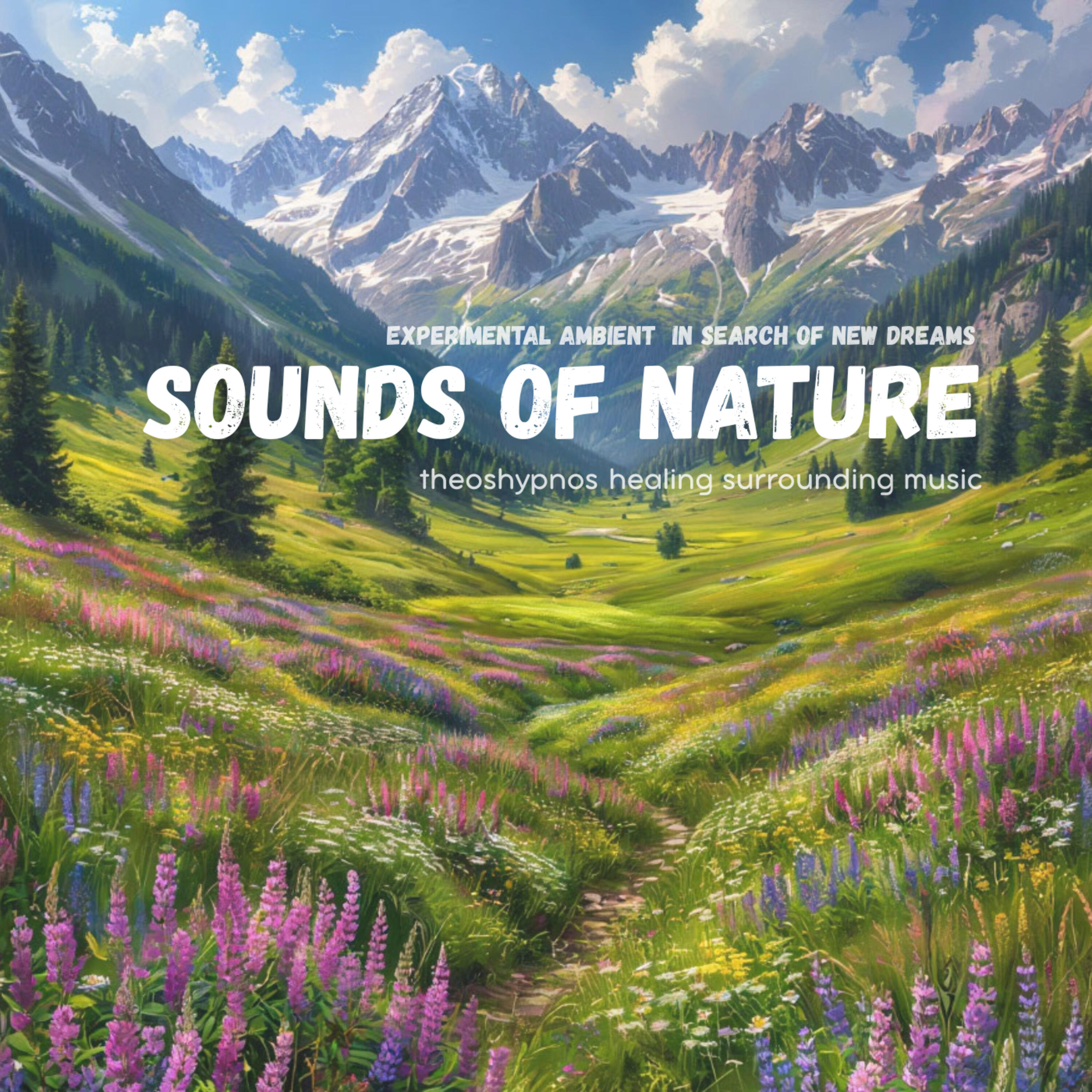 Релиз Ambient Sounds of Nature 1. Healing Music